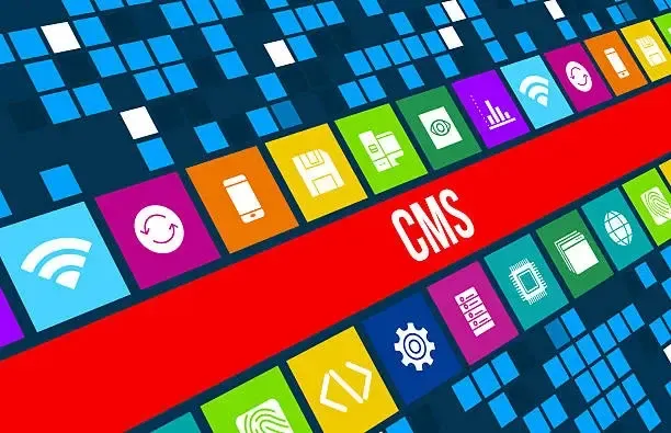 WordPress Consulting